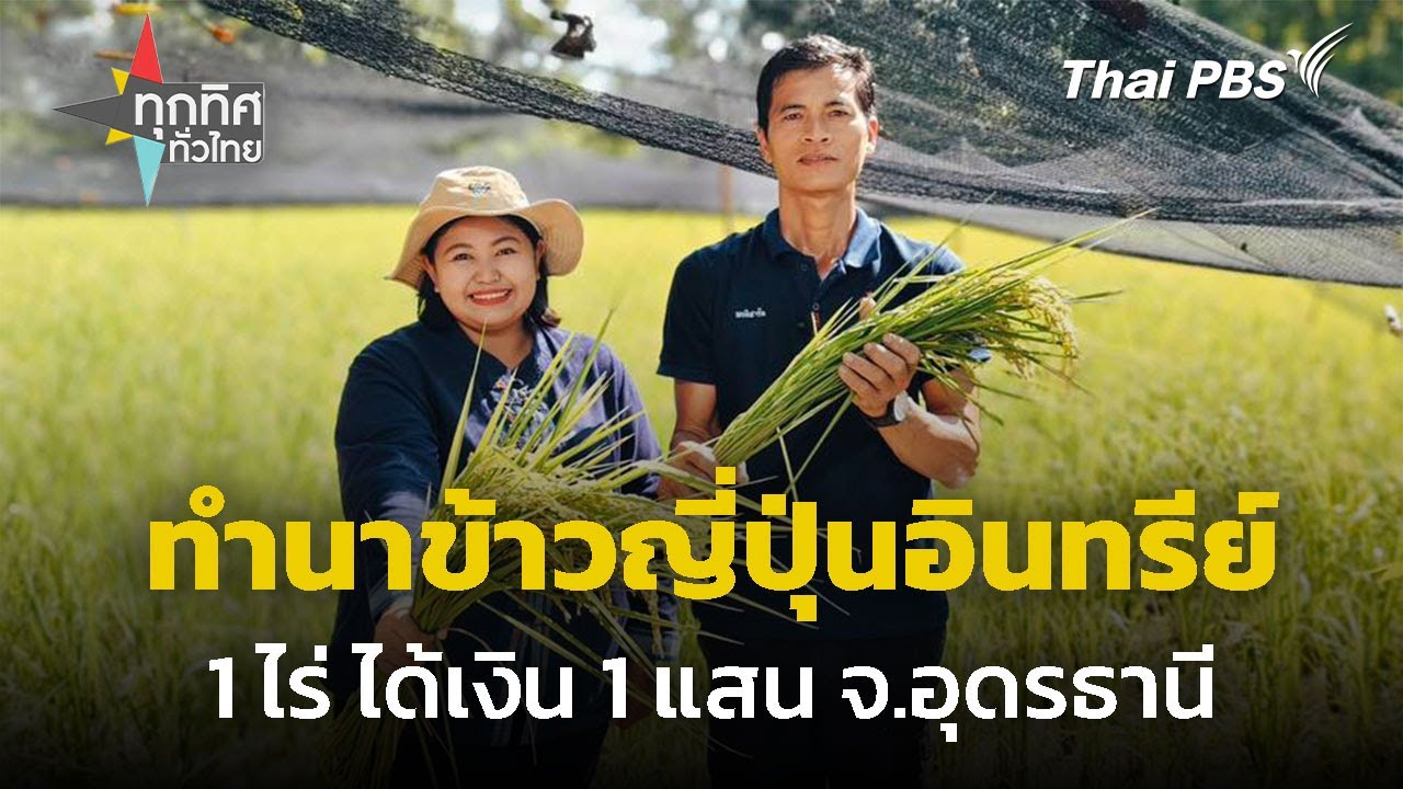ทำนาข้าวญี่ปุ่นอินทรีย์ 1 ไร่ ได้เงินหลักแสน จ.อุดรธานี | ทุกทิศทั่วไทย | 28 พ.ค. 68