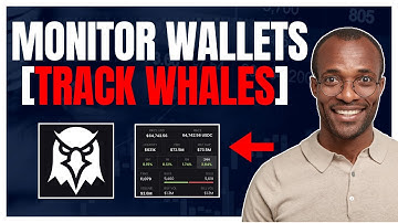 HOW TO MONITOR A WALLET ADDRESS IN SOLSCAN (TRACK WALES ON SOL)