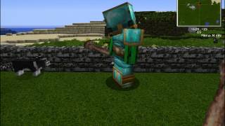 Minecraft Tutorial MCMMO plugin Episode 10 Taming w TDHS2012