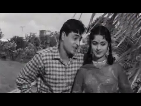 Teri Pyaari Pyaari Surat - Superhit Classics Romantic Song - Rajendra Kumar & Saroja Devi - Sasural