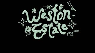 Weston Estate - Chances (Unreleased Snippet)