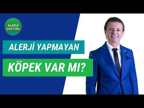 Video: 5 Köpeğinizin Alerji Sorunları Vardır