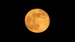 January's Full Moon - Wolf Moon 01/03/2026