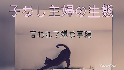 らむこつぽて 犬と猫とシンプルライフ Litetube らむこつぽて 犬と猫とシンプルライフ Litetube