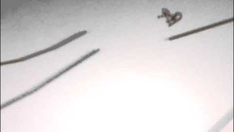 forward and backward line rider