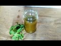 How to Make Oregano Oil at Home