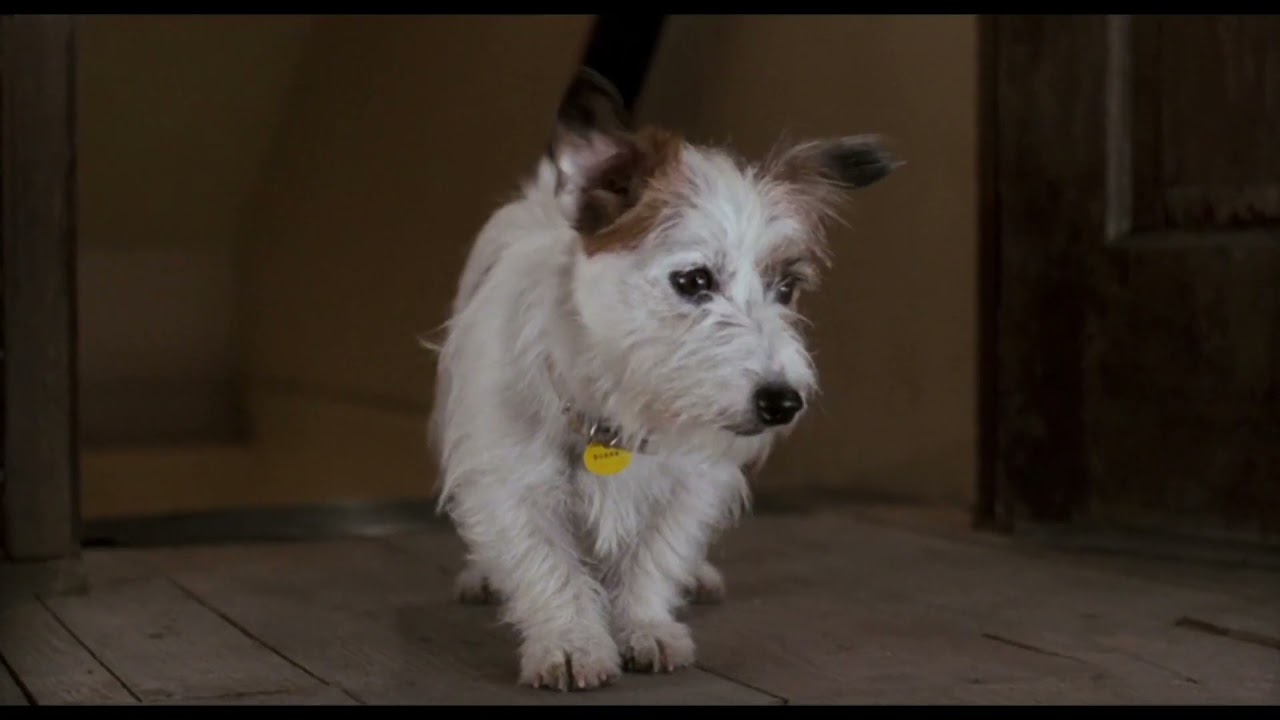 Honey, I Shrunk the Kids Thrown Outside YouTube