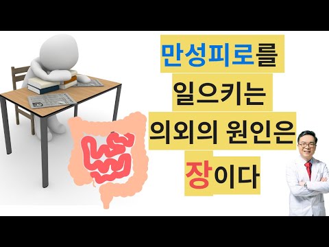 만성피로를 일으키는 의외의 원인은 장이다. 장건강을 잡아 만성피로 극복하기