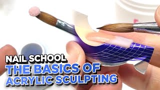 YN NAIL SCHOOL  Basics of Acrylic Sculpting For Beginner Techs!