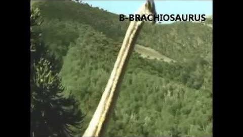 Dinosaurs Alphabet Song (with real dinosaurs)