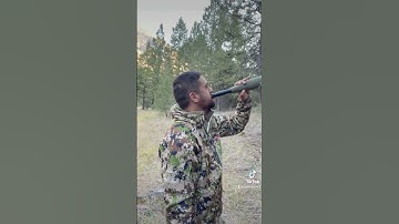 ELK calling 101  #hunting #archery #archeryseason #elk #elkhunting