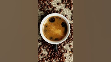 Free New Arrival Promo Video Template (Customizable) - FlexClip