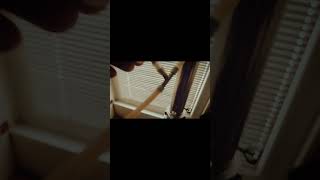 Экстракция дубовой щепы