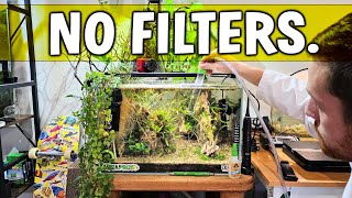 Nature's Balance: How And Why Aquarium Filters Aren't Always Necessary