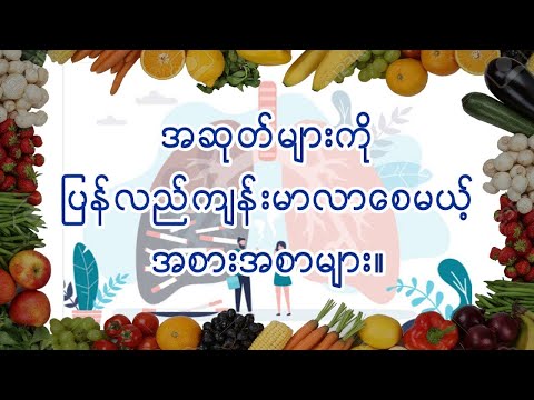 အဆုတ်ကျန်းမာရေးအတွက် အကောင်းဆုံး အစားအစာ ၁၉ မျိုး