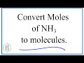 Mole and Molecule Conversions