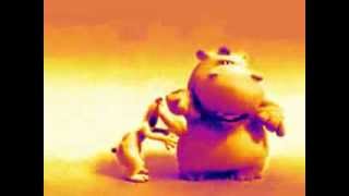 The Lion Sleeps Tonight - Hippo