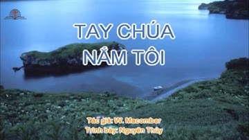 Thánh ca 278 - Tay Chúa Nắm Tôi