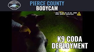 K9 Coda Deployment