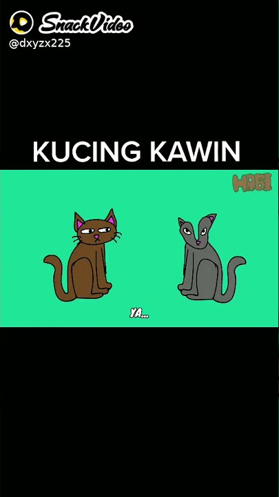 KUCING GENTOT