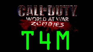 Zombie custom T4M