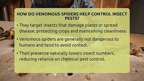 How Do Venomous Spiders Help Control Insect Pests? - Insects and Invaders