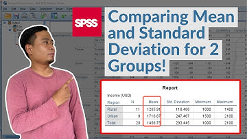 Calculate Mean and Standard Deviation for 2 Groups in SPSS! (Easy Steps)
