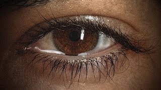 O.c.a - Ateo Prod. By Edu Gracia Audio Oficial