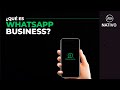 Aprende a usar WhatsApp Business y piérdele el miedo