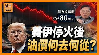 (AI中英字幕)美伊戰爭結束才是真正危機？我對後美伊時代油價與全球市場的終極推演！《蕭若元：理論蕭析》2026-06-17