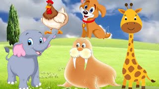 Cute little animals - Dog, cat, chicken, elephant, cow, tortoise Animal sounds