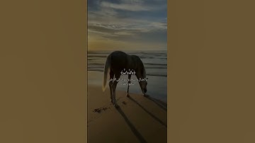 القرآن الكريم بصوت ياسر الدوسري #قرآن #اكسبلور #راحة_نفسية #duet #دويتو #لايك #عيد_مبارك #ترند