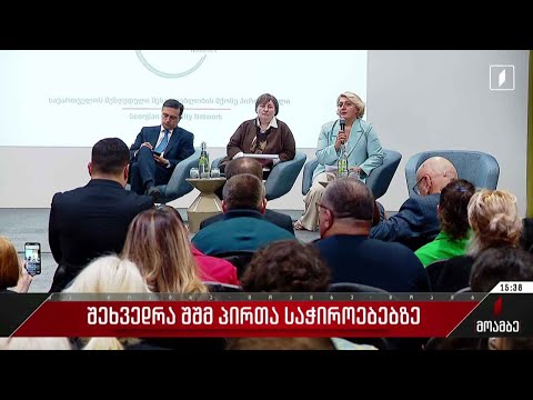 შეხვედრა შშმ პირთა საჭიროებებზე