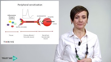 What is peripheral sensitization?