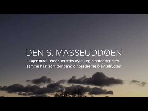 Video: Havmågeres Massedød - Alternativ Visning