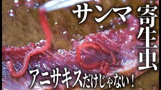 秋刀魚(サンマ)の寄生虫はアニサキスだけじゃない腹ワタ肝醤油