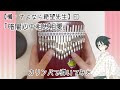【懺・さよなら絶望先生 ED】『暗闇心中相思相愛』カリンバで弾いてみた【糸色望】Kalimba cover