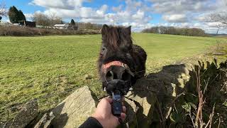 Zoom H1 Essential Field Recording Test