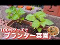 【１００均・ダイソーグッズ】３００円ちょいで自宅で楽しめる！プランター菜園／家庭菜園【kattyanneru】