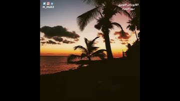 تلاوة ندية سورة الشعراء للقارئ ياسر الدوسري🍁