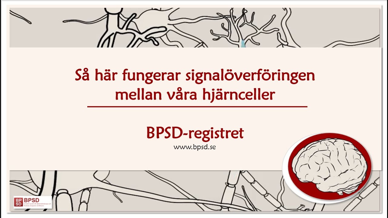 Signalöverföringen mellan hjärnceller. (BPSD-registret)