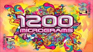 1200 Micrograms - Live Set Ozora Festival 2016