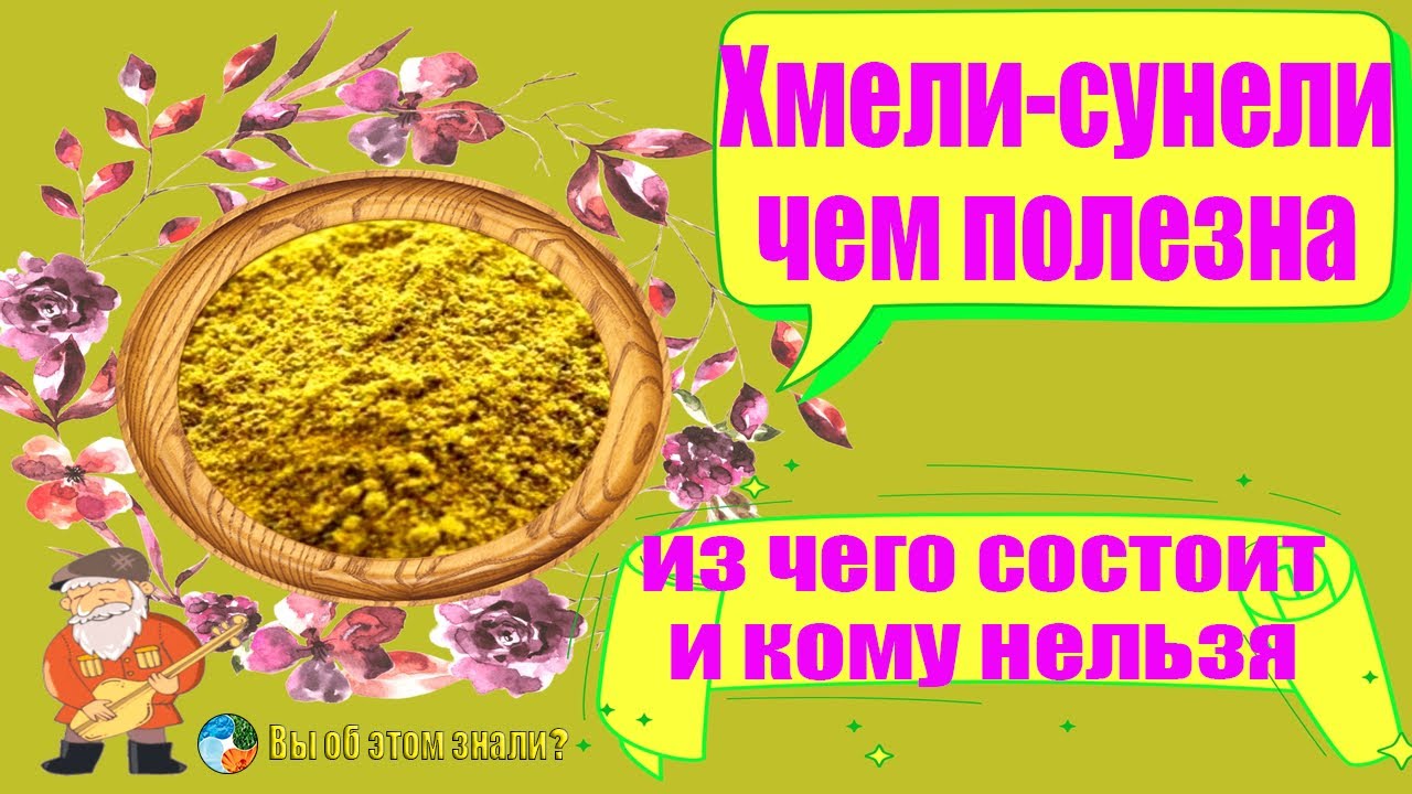 Хмели-сунели — из чего состоит, чем полезна и кому нельзя