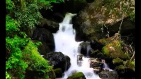 صوت عذب ماشاءالله   ادريس ابكر   سورة الملك   YouTube