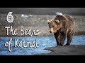 Alaska to Mexico #6: Experiencing Life with the Bears of Katmai