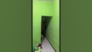 NENG SARI LAGI MENYUSUI BAYI ‼️ N3N3N GED3 BGT BURUAN LIAT  #breastfeeding #busui #live #tiktok 