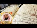 سعود الشريم سورة فصلت إليه يرد علم الساعة