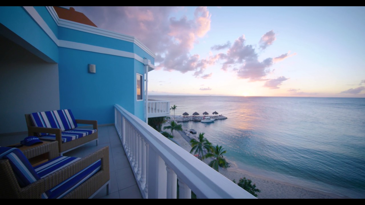 blue curacao for sale