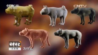 汉景帝的地下王朝（四）地下的财富【法律讲堂  20160104】