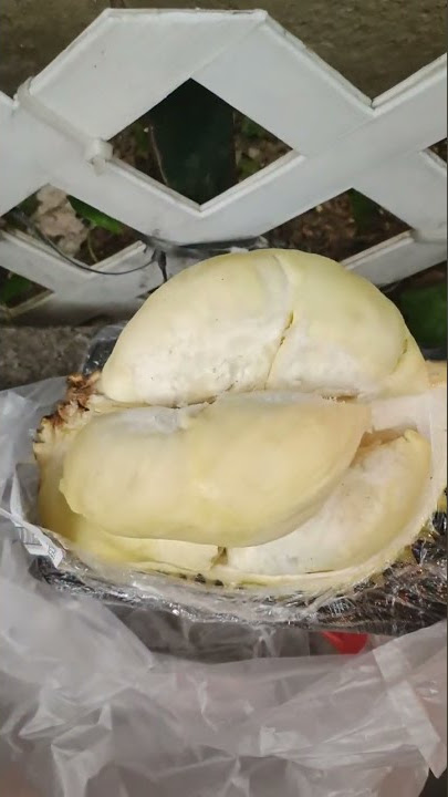 malam malam makan durian🤤🤤🤤